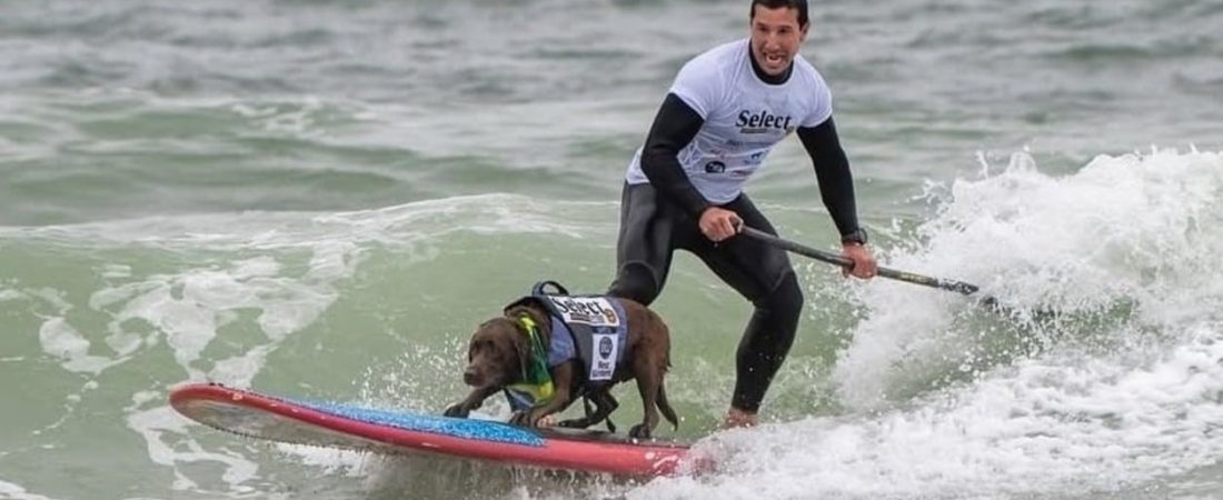 3rwgC8g5i_1256x620__2