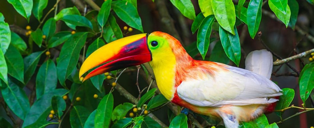 48821060042_54197f893a_b