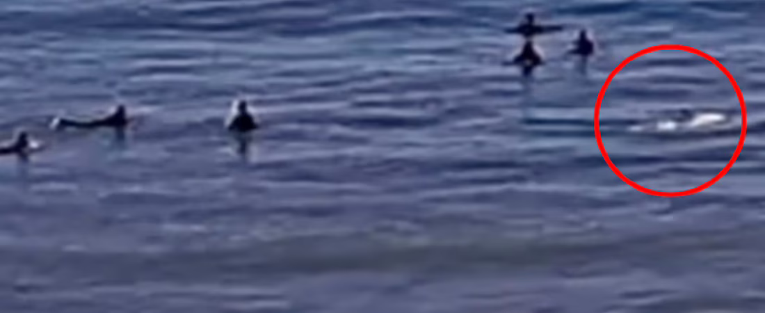 4BJ4OUXJ6BGZTFX4ZWMLE7LR3M