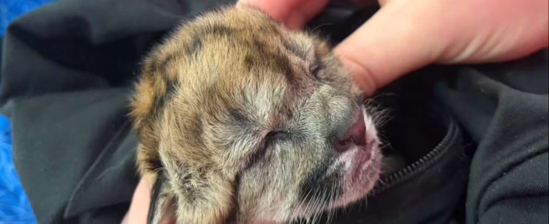 4HQKURHZQZDZ7OXO7XZYT6K7KU