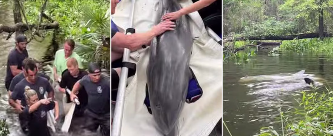 4XJHY2NDNRBP5PJAZSU2UNFAOU