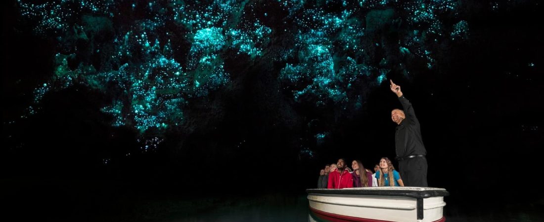 Glowworm caves, cueva de luciernagas en nueva zelanda