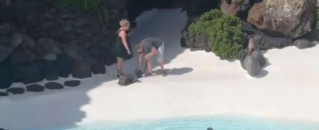 4e482bc5-3d4b-4d19-a7f4-f62698a88cd7_source-aspect-ratio_default_0