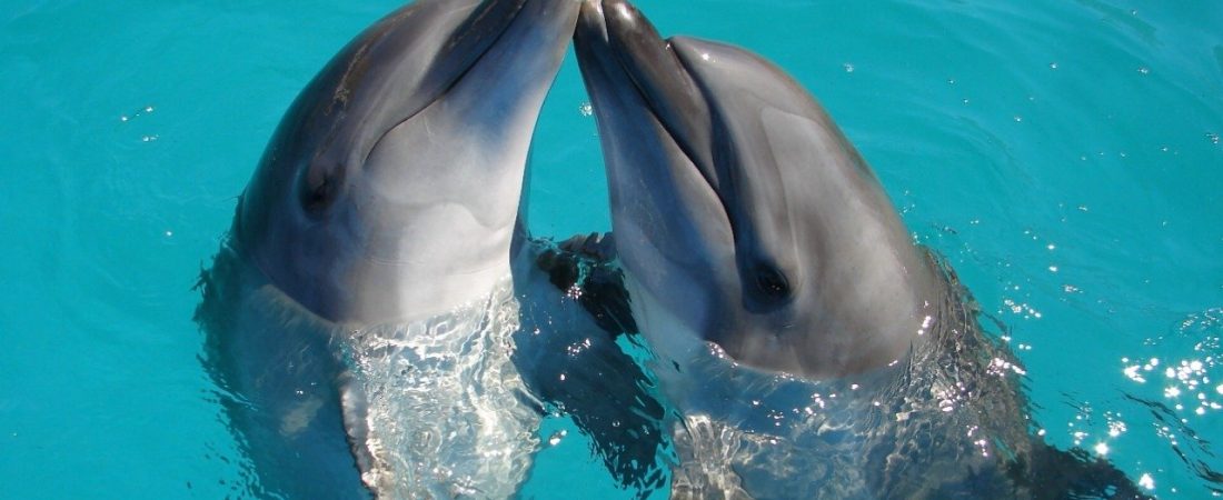 52600b5a-4187-458f-aa64-f8407a27b8e4