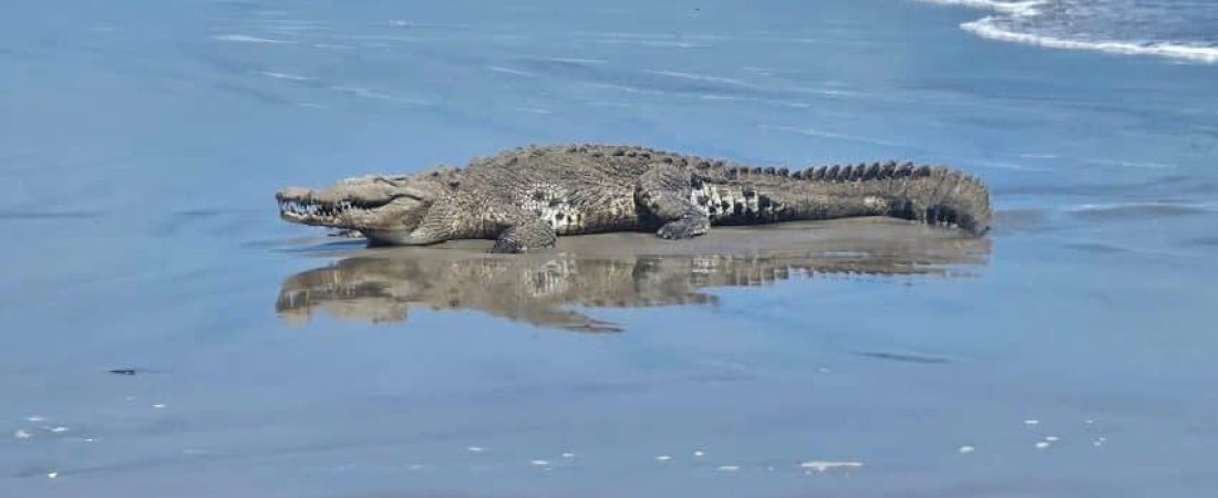 530372797_1107045561565415_5277305341549117301_n-850x560