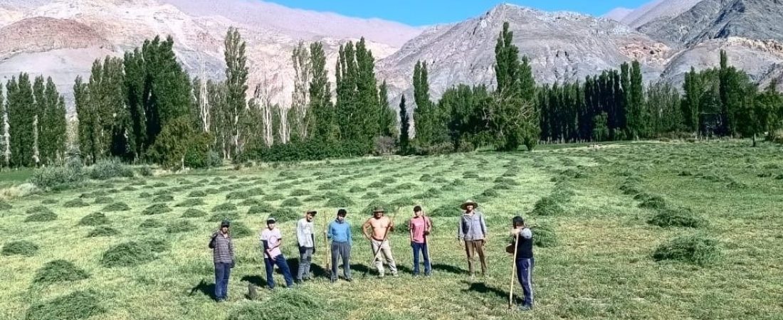 53ab9726-aca3-4c69-935b-bc0e194f2a86-jpg.