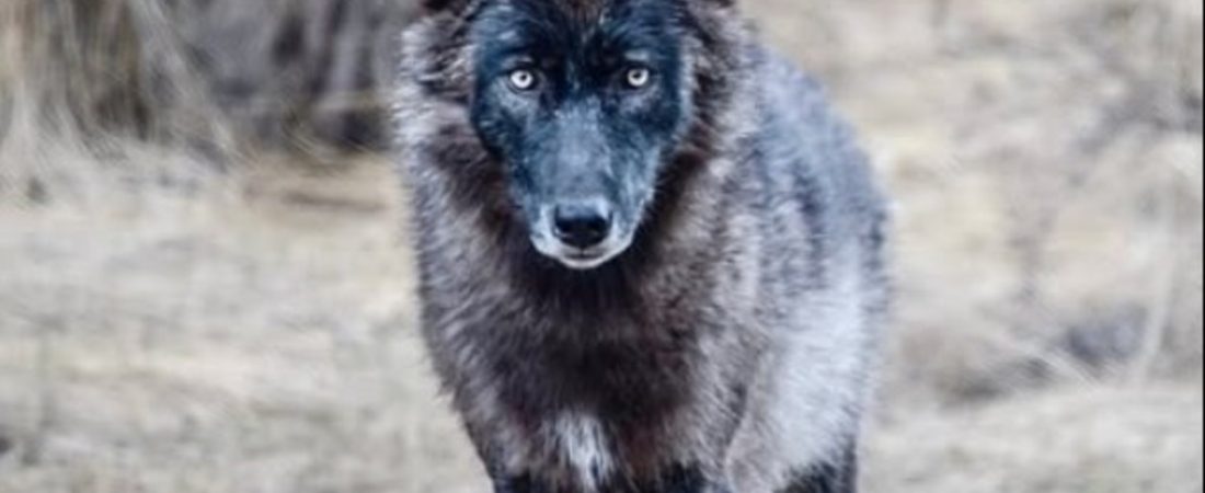 56na21iqW_1256x620__1