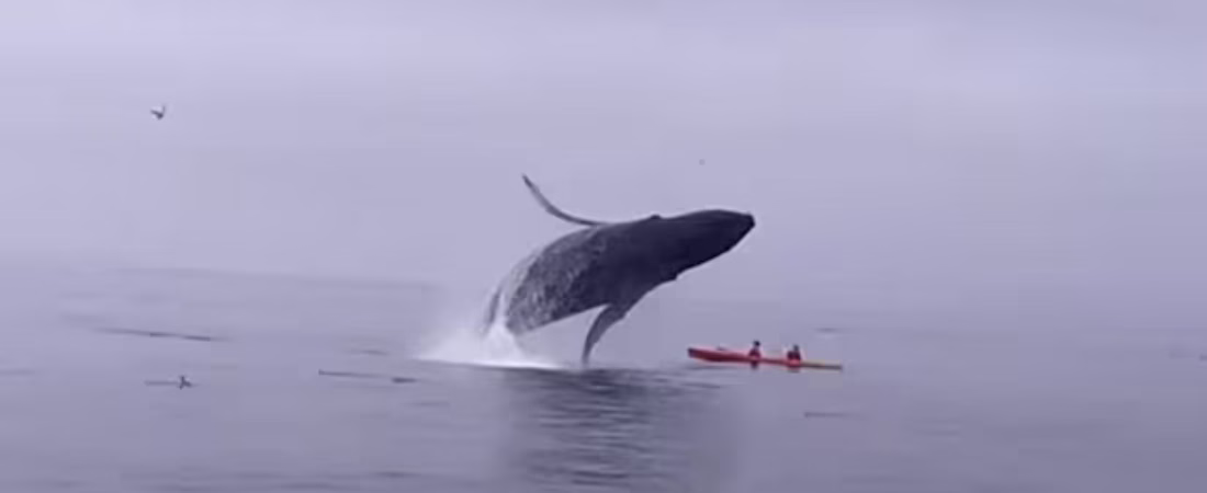 57472TZUS5CUPGP6NR2A4ZSKEM