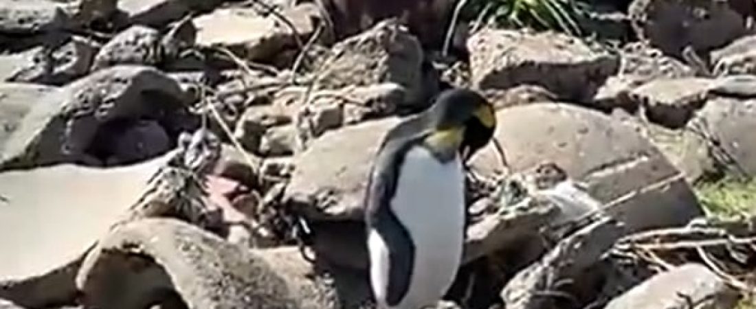 59c0bbbba432236bbd24da94235e9e3c