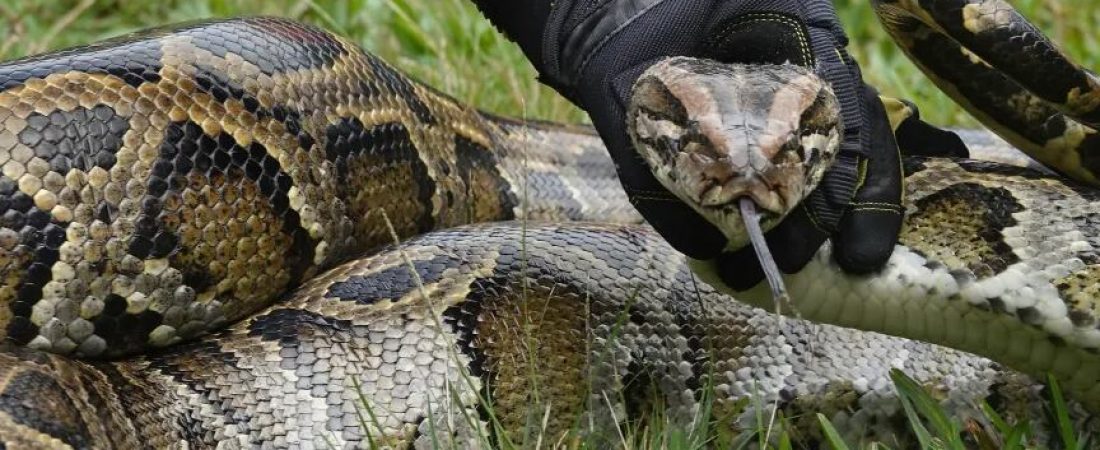 5T3HIZ3BBJE47O7H7THJEULHEI