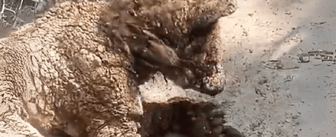 5UKKNTGRJRC65GI7D6UHKUREVM