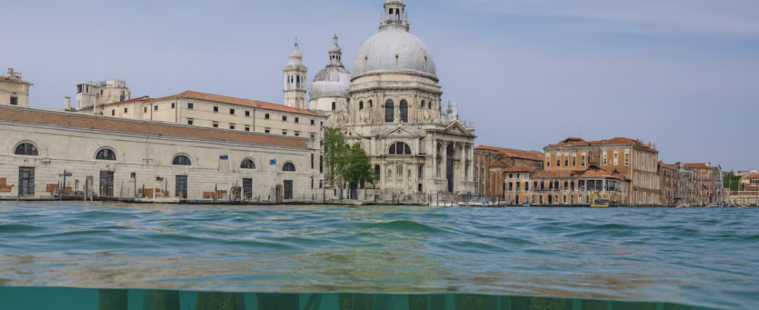 5UYDFLDQCZCORIV5IBXPTQY54I