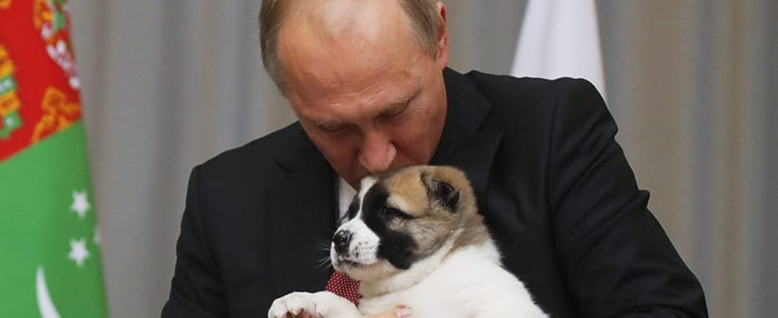 Putin