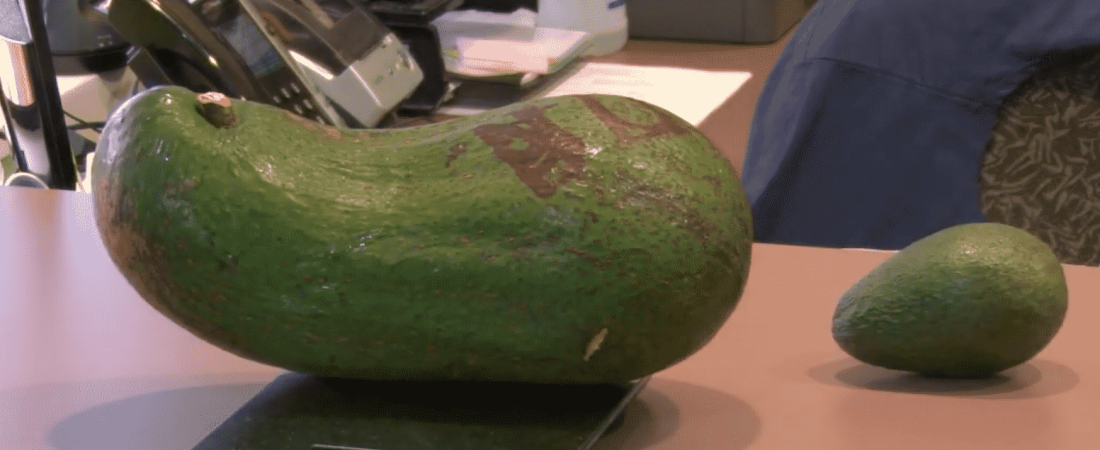 5c518ee252414711a41b62b3