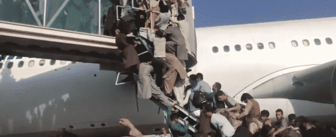 611a21043dd01000199dca7e