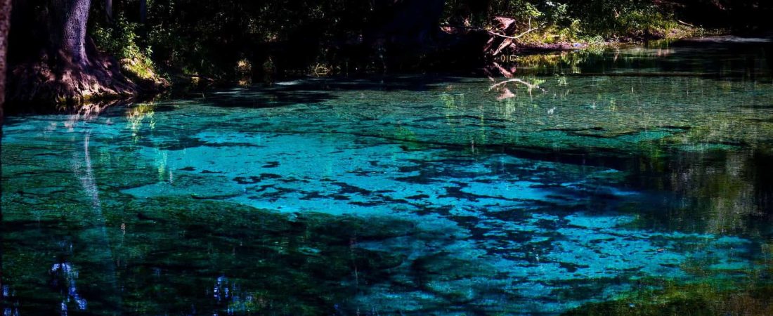 Ginnie Springs