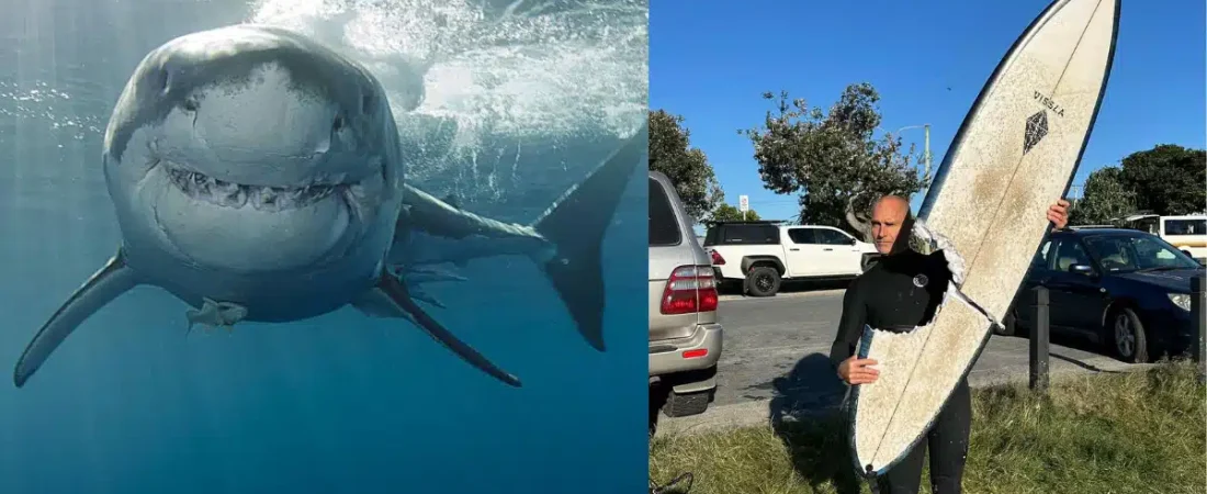 68a2f20faf474.r_d.166-220