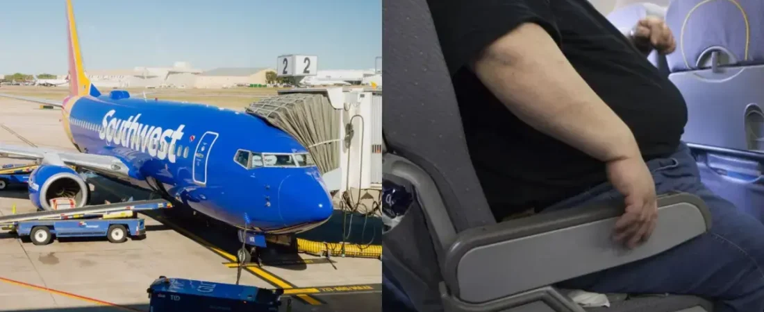 68ae72888e502.r_d.960-540-0