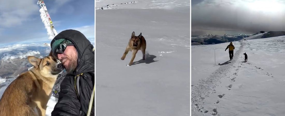 68bc167ce9ff71657b6f2670