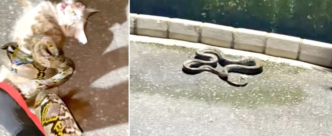 6905e12d59bf5b6c316afb96