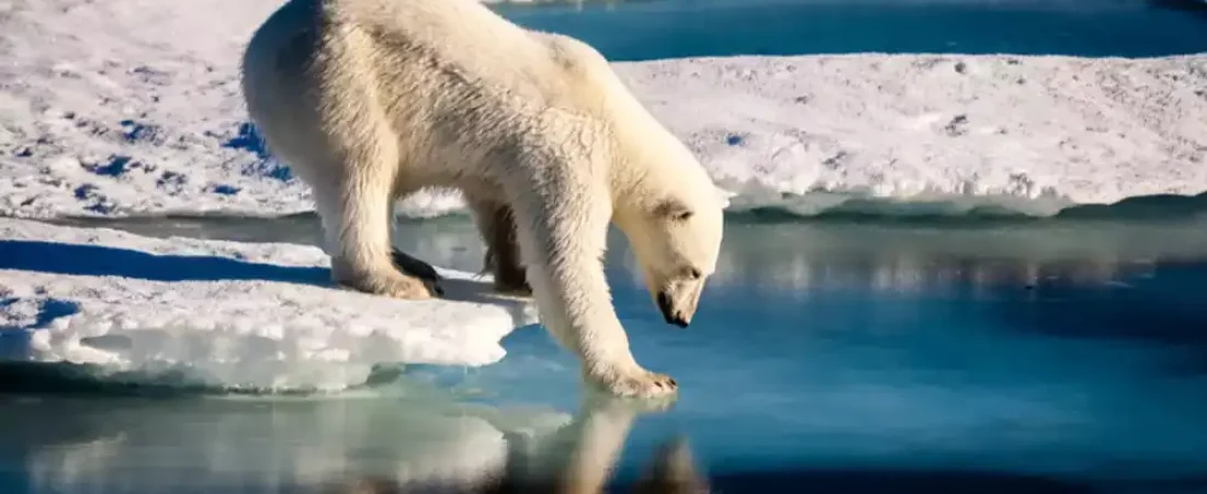 6942c8d07b05b2e58d08938a