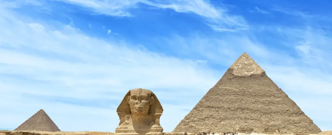 697b79d08a8381-41893522