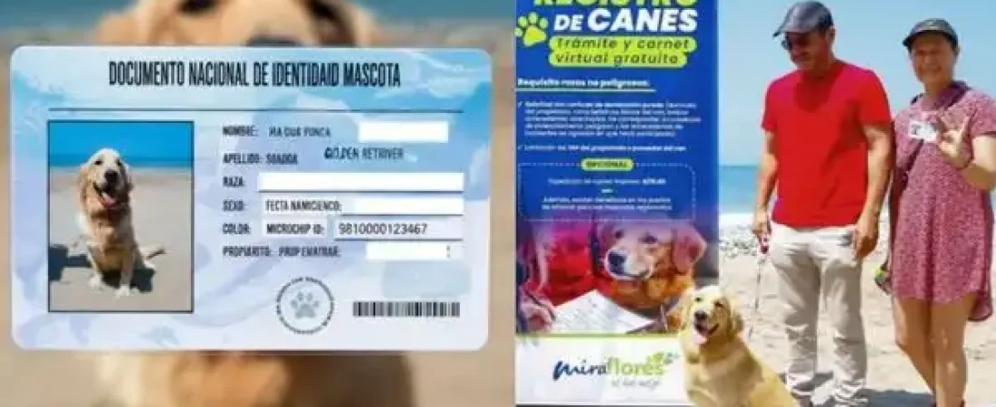 6982146e7e83d9ebcf020a6c