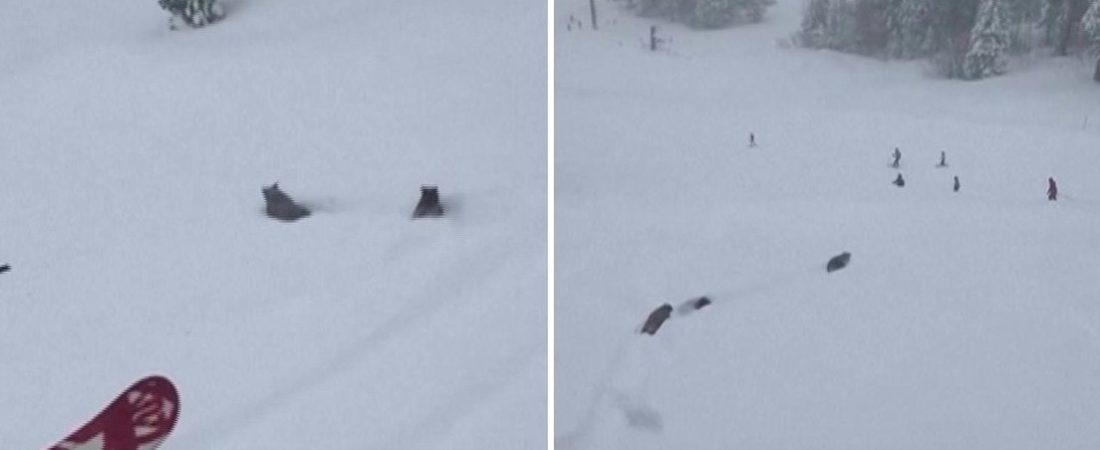 69998bb159bf5b2ed14e42a8