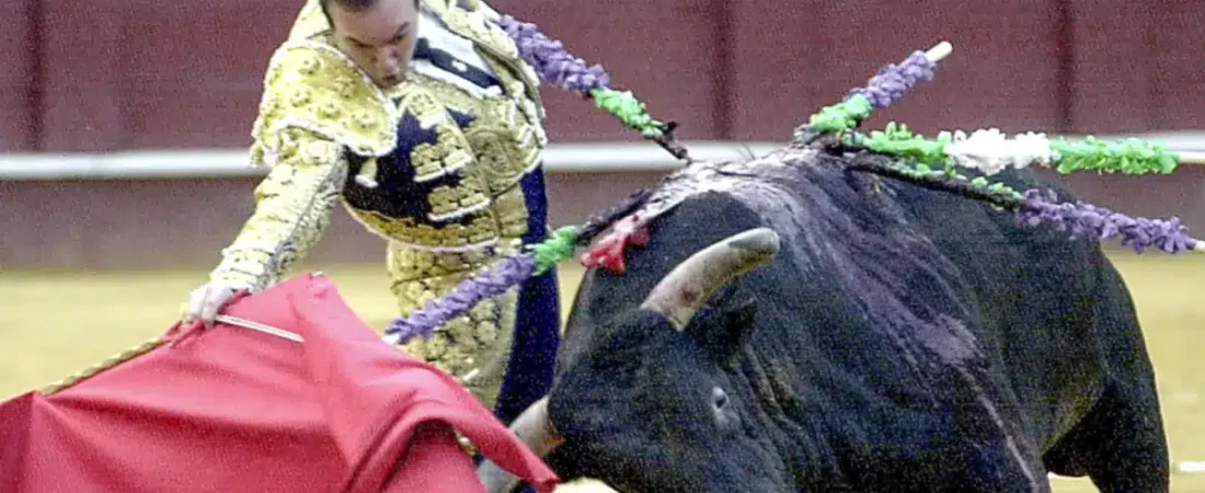 69d0383eefef63-87108662