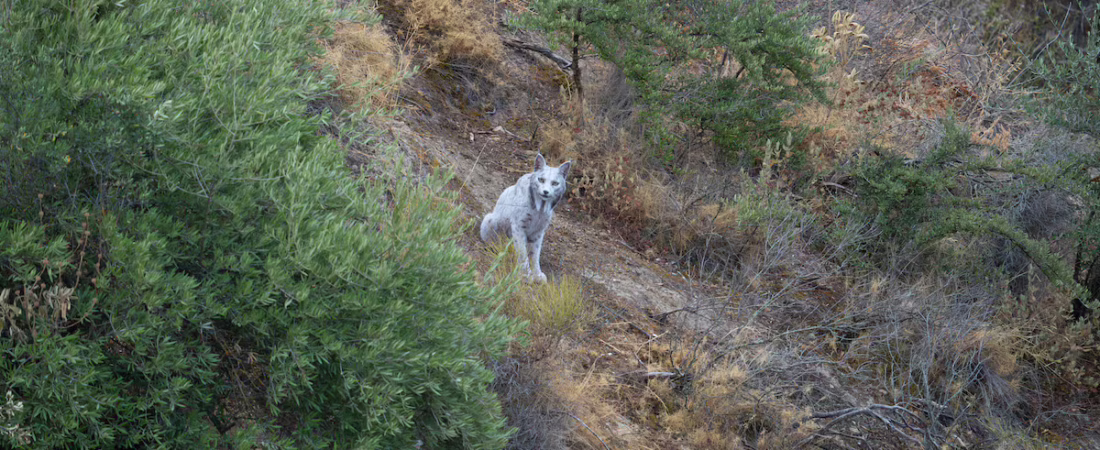 6EFAQU733ZHG7AKRTMWCAUT6NY