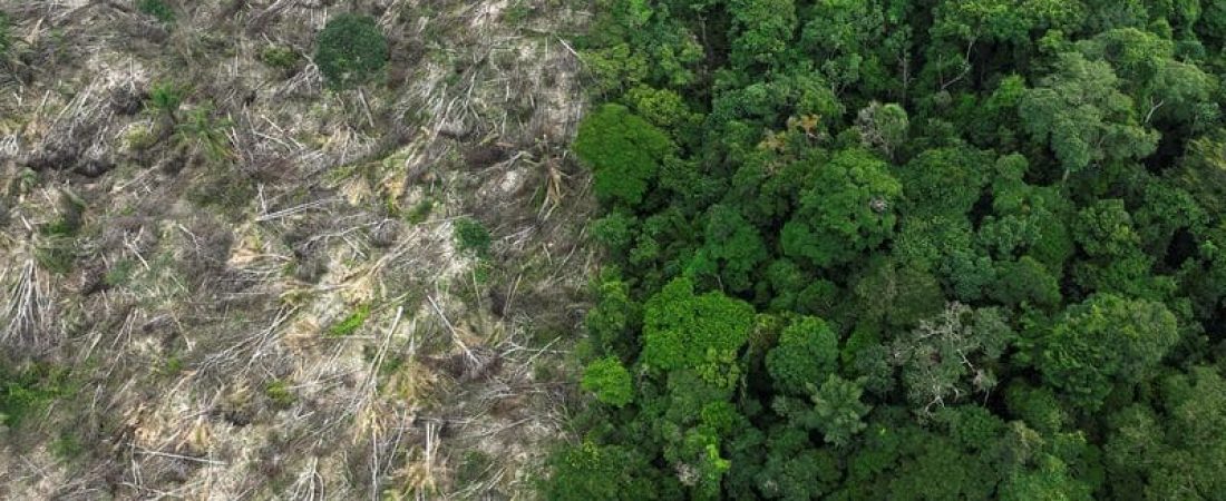 FILE PHOTO: An aerial view shows a deforested area during an operation to combat deforestation near Uruara, Para State, Brazil January 21, 2023. REUTERS/Ueslei Marcelino/File Photo
