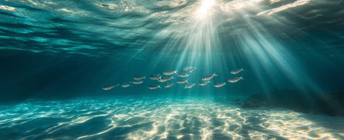 6THSCZYQHFAKNHXBYLESL2RMGE