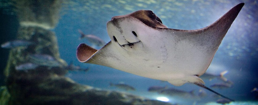 6b680c358a9c486cf04aa1acf563269a7d2c97ccw