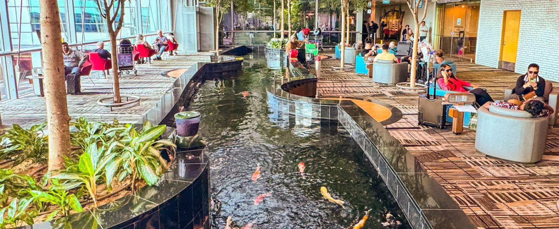 7CAVDWOZVFGM5D4RQ64UV3XIYU