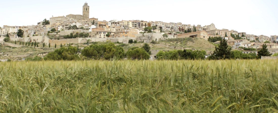 7SQRZKWOT5A5FP67FWB5Z7NVAA