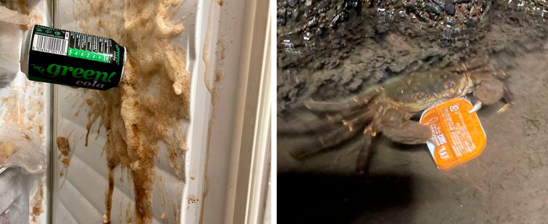 80-fotos-curiosas-y-geniales-que-alegraran-tu-dia-intriper.jpg