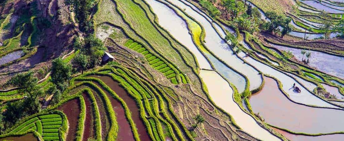 Terrazas de Arroz de Yuanyang