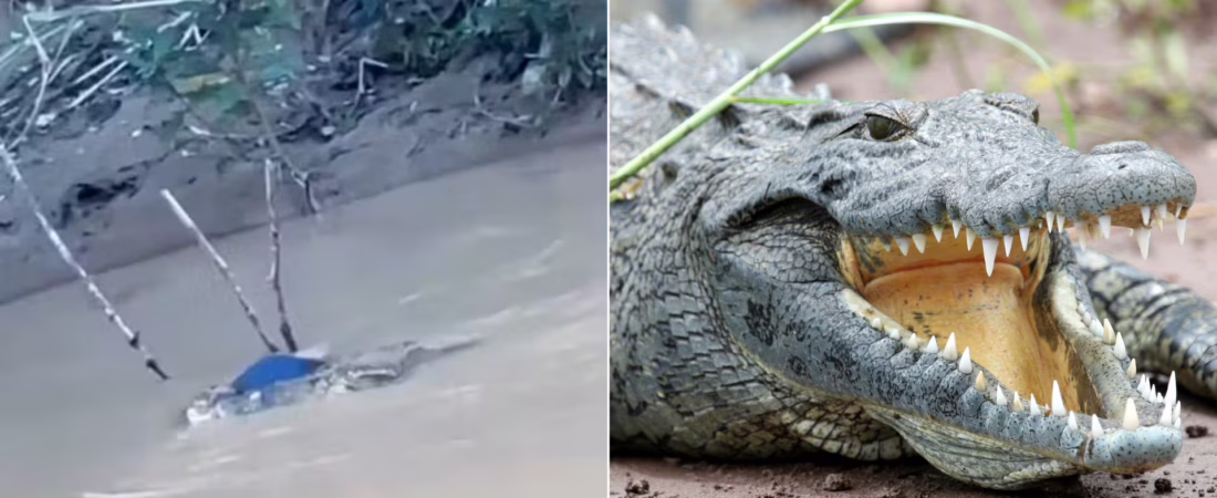 A34ASXQ3WFCLZLUN65ACXNUN5A