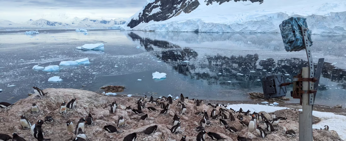 A5BLNOIRAJHADK6R2JJSX3HMG4