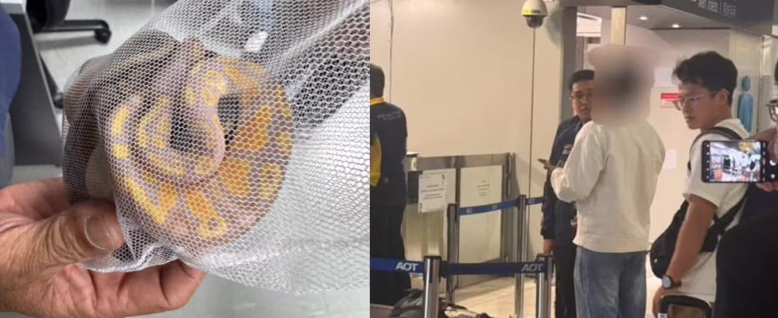 AF5BLGX6TRCZBDINVBTFFCEWUM