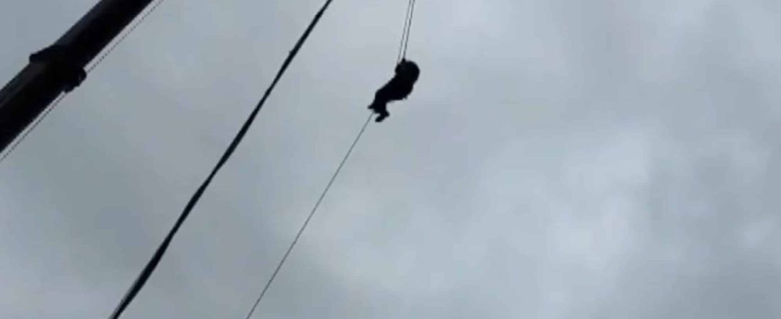 AZXwnhY4I_2000x1500__1