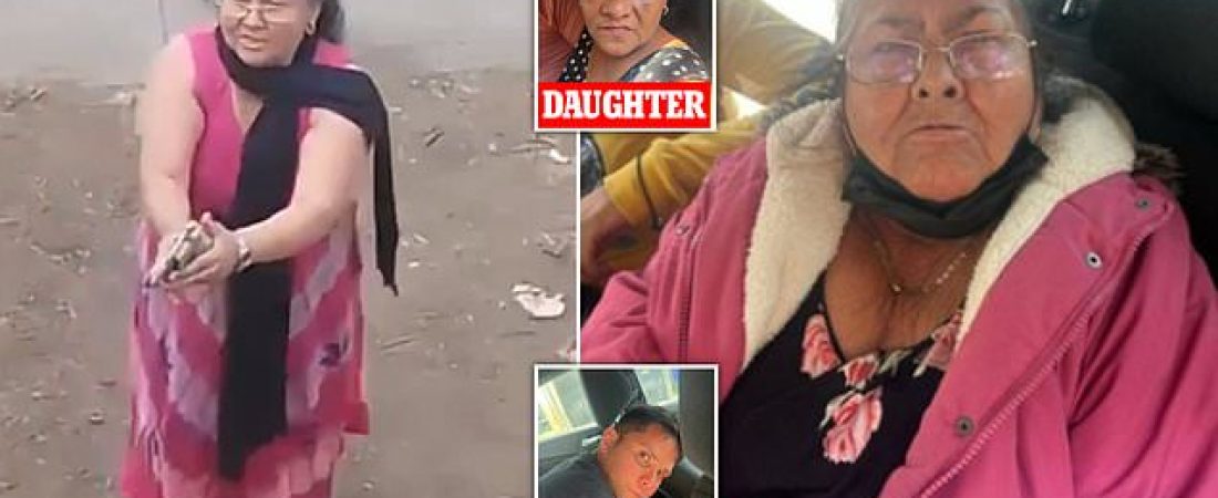 Abuela-justiciera-termina-con-la-vida-de-dos-okupas-en-su-hogar-intriper.jpg