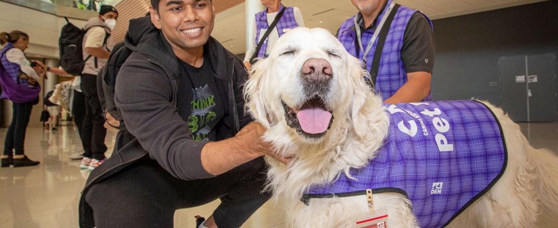 Aeropuerto Internacional de Denver-programa-terapia-animales-3