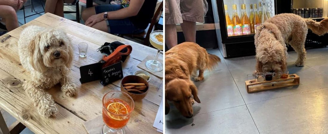 After Bark: el bar de Londres donde puedes pedir una bebida para ti y otra para tu perro