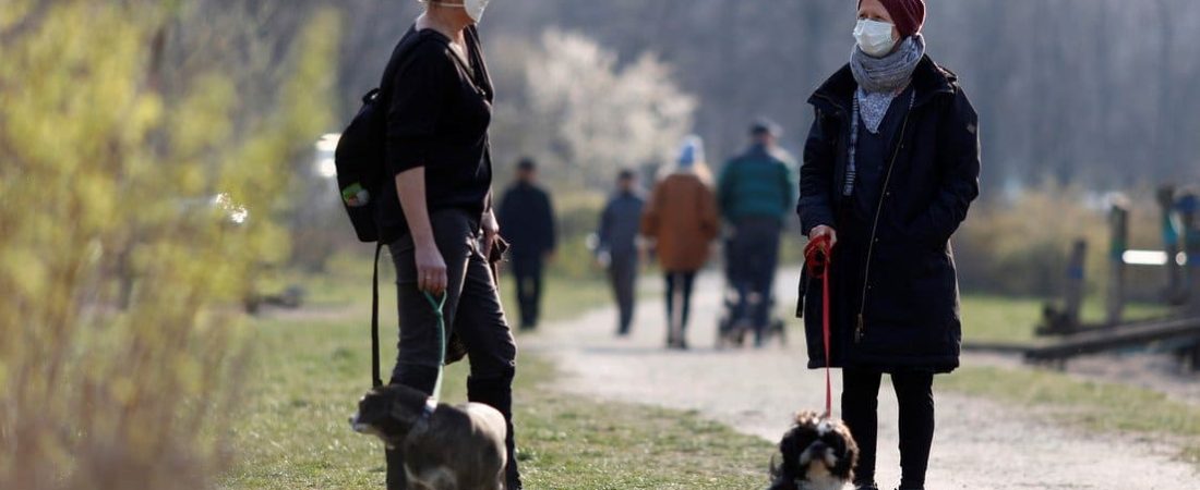 Alemania sancionará nueva ley que requiere que los dueños de perros paseen a sus mascotas dos veces al día 1