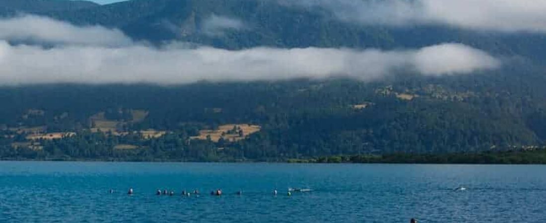 Alerta en Chile por la presencia de gran cantidad de algas tóxicas en el Lago Villarrica autoridades piden no tener contacto con el agua