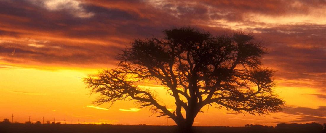 Argentina-trabaja-en-la-creación-de-un-nuevo-Parque-Nacional