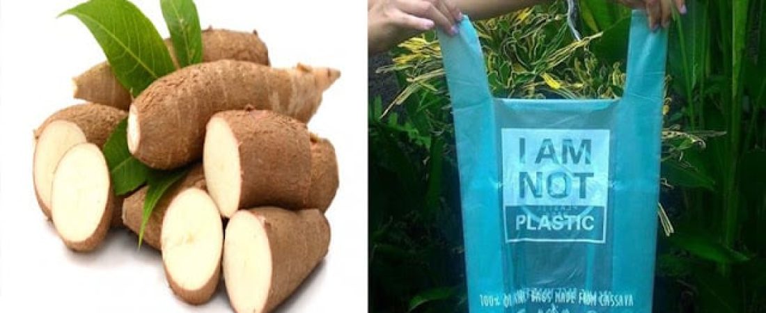 Avani-Eco-bolsa-de-yuca