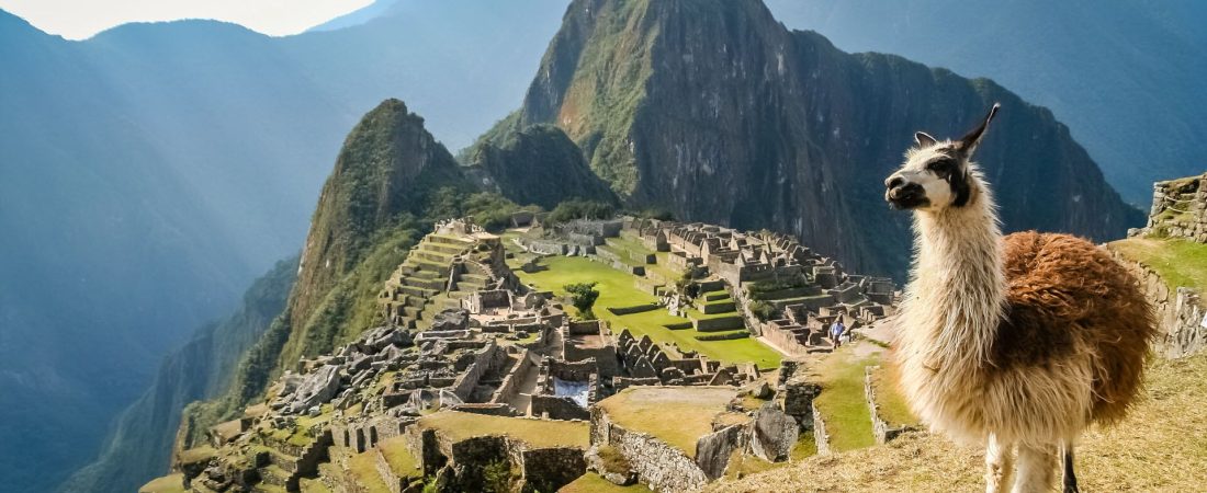 BQOO3G2Z7ZCYJI7EQQXIGMTFRQ