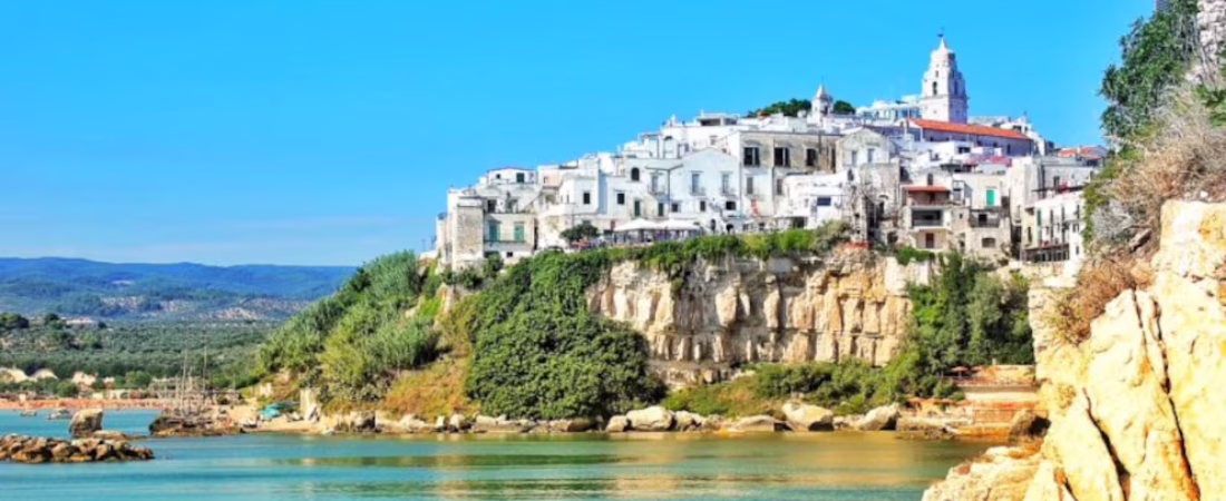 BS63DL4X3JGBZKXVTBUUXC62WI